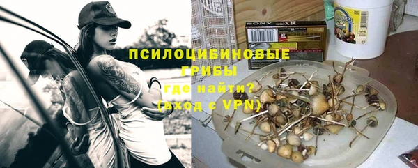 прущая мука Богородицк